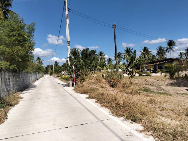 ขายที่ดินเปล่า ราคา : 4,000,000