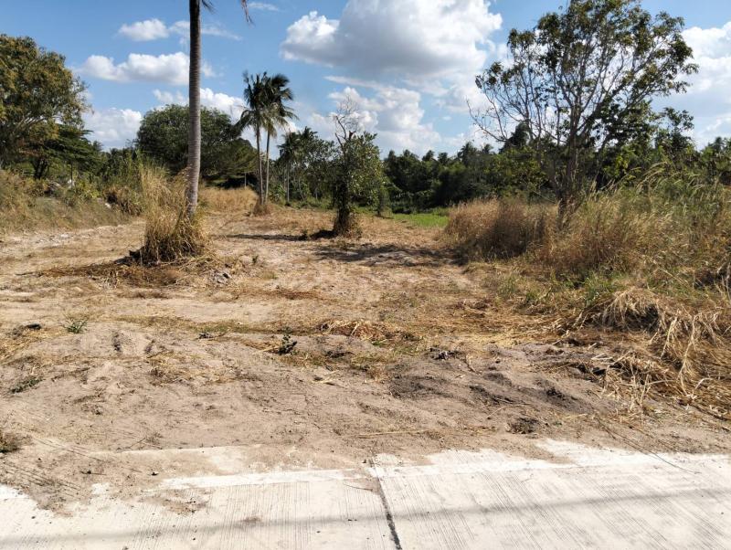 รูปที่3 ต้องการขายที่ดินเปล่า บางพระ ศรีราชา ราคา 4,000,000 บาท