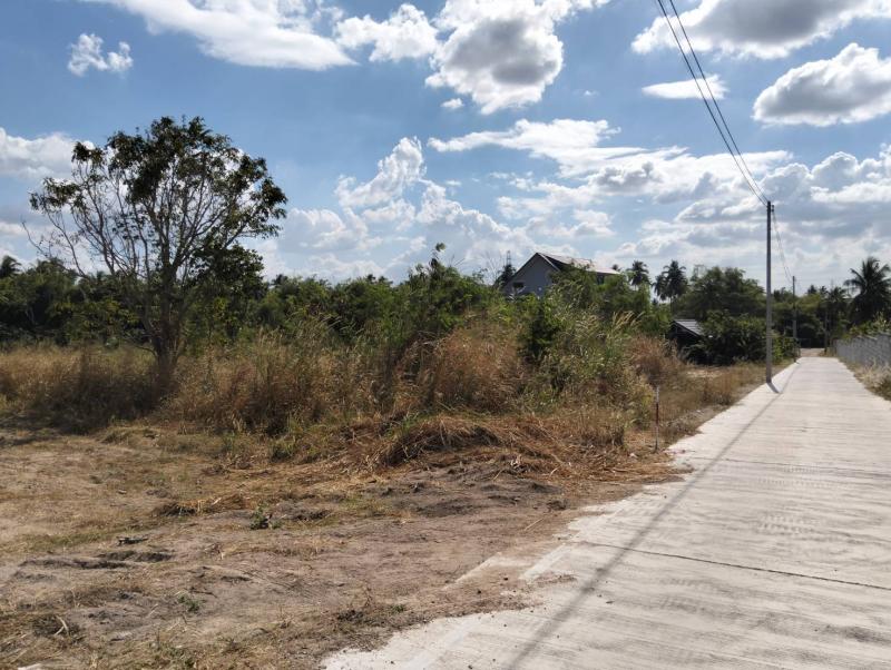 รูปที่4 ต้องการขายที่ดินเปล่า บางพระ ศรีราชา ราคา 4,000,000 บาท