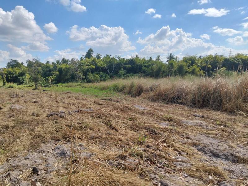 รูปที่5 ต้องการขายที่ดินเปล่า บางพระ ศรีราชา ราคา 4,000,000 บาท