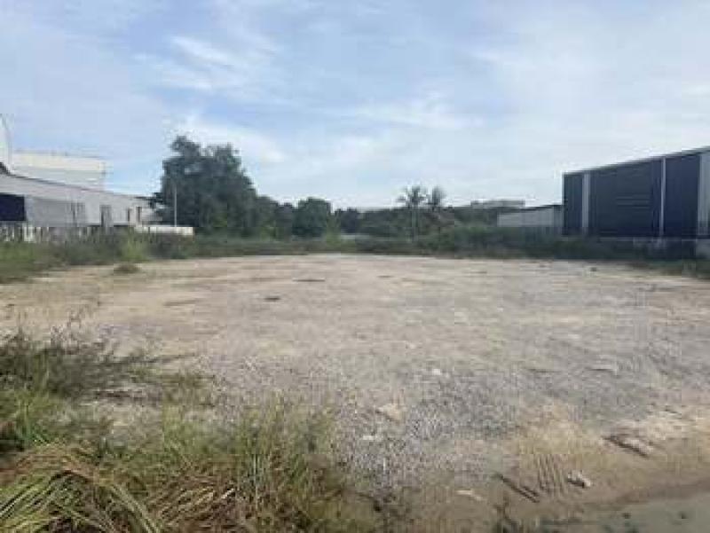 รูปที่2 ต้องการขายที่ดินเปล่า ราษฎร์นิยม ไทรน้อย ราคา 14,000 บาท