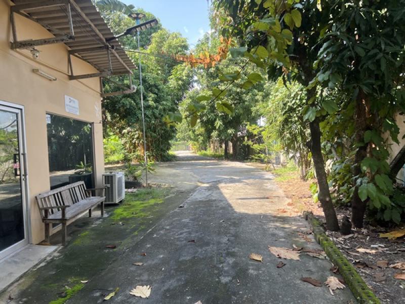 รูปที่2 ต้องการขายที่ดินเปล่า จอมทอง เขตจอมทอง ราคา 70,000 บาท