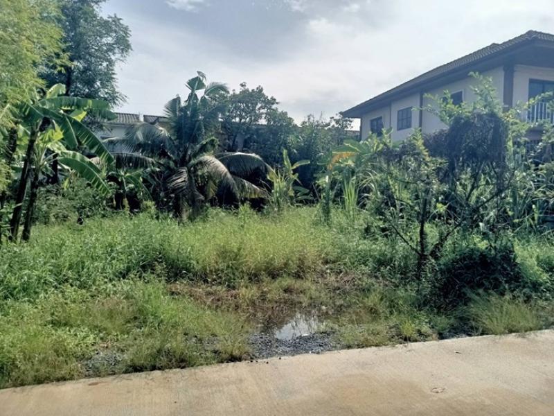 รูปที่2 ต้องการขายที่ดินเปล่า หนองจอก เขตหนองจอก ราคา 1,950,000 บาท