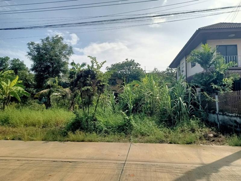 รูปที่3 ต้องการขายที่ดินเปล่า หนองจอก เขตหนองจอก ราคา 1,950,000 บาท