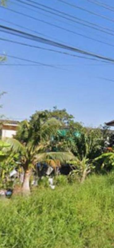 รูปที่4 ต้องการขายที่ดินเปล่า หนองจอก เขตหนองจอก ราคา 1,950,000 บาท