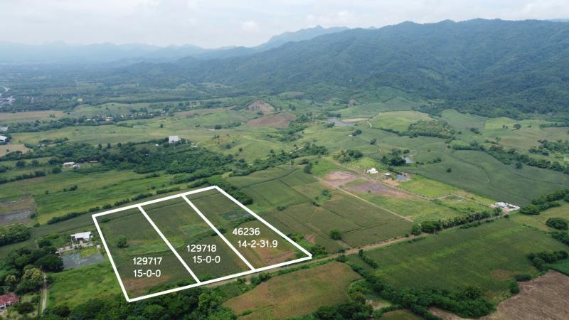 ขายที่ดินเปล่า ราคา : 16,000,000