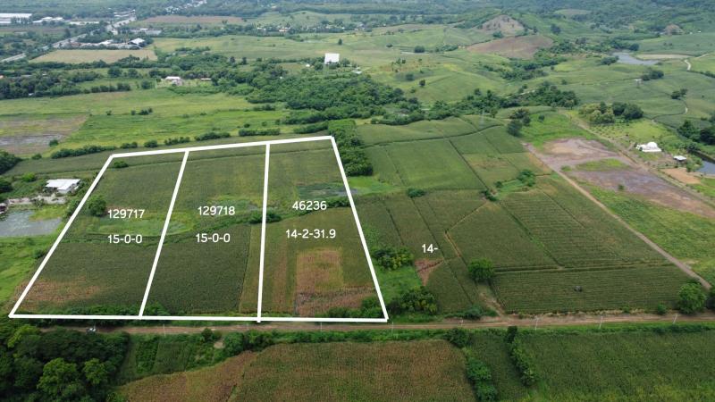 รูปที่2 ต้องการขายที่ดินเปล่า บ้านโตก เมืองเพชรบูรณ์ ราคา 16,000,000 บาท