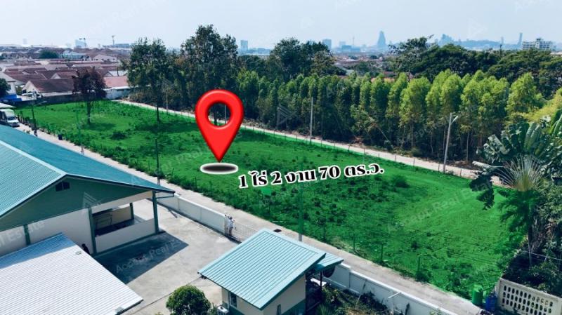 รูปที่7 ต้องการขายที่ดินเปล่า หนองปรือ บางละมุง ราคา 7,500,000 บาท