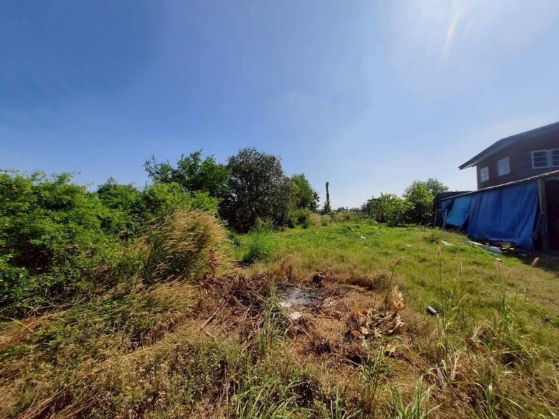 รูปที่3 ต้องการขายบ้านพร้อมที่ดิน ราษฎร์นิยม ไทรน้อย ราคา 1,100,000 บาท