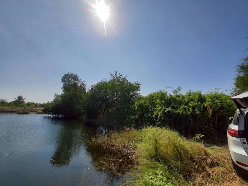 รูปที่7 ต้องการขายบ้านพร้อมที่ดิน ราษฎร์นิยม ไทรน้อย ราคา 1,100,000 บาท