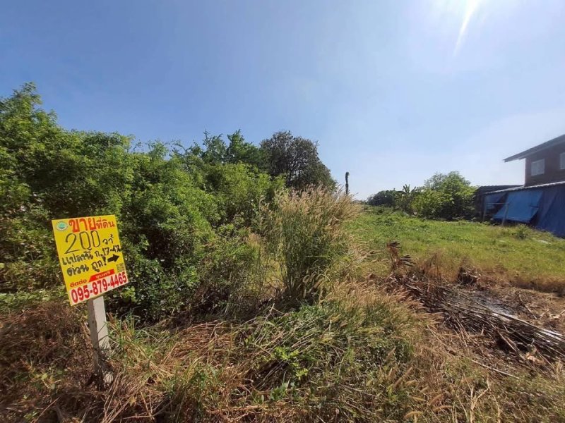 รูปที่8 ต้องการขายบ้านพร้อมที่ดิน ราษฎร์นิยม ไทรน้อย ราคา 1,100,000 บาท