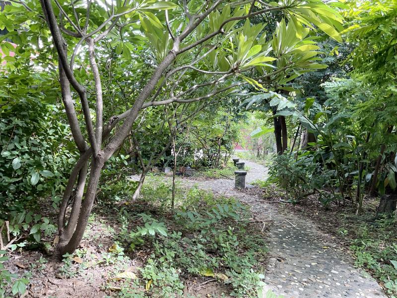 รูปที่7 ต้องการขายบ้านพร้อมที่ดิน บางซื่อ เขตบางซื่อ ราคา 26,000,000 บาท