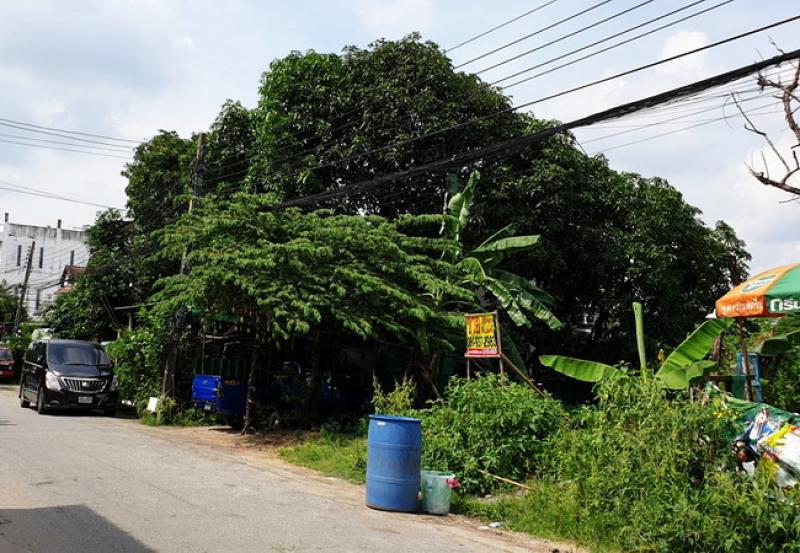 รูปที่3 ต้องการขายที่ดินเปล่า คลองกุ่ม เขตบึงกุ่ม ราคา 2,100,000 บาท