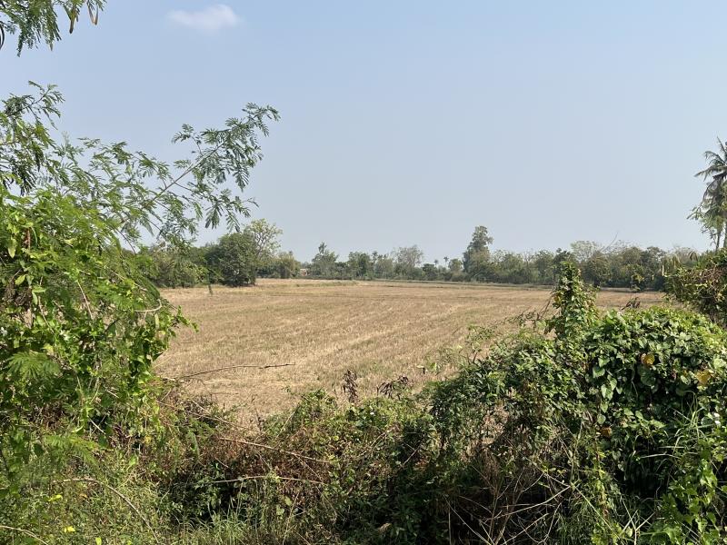 รูปที่2 ต้องการขายที่ดินเปล่า ย่านยาว สามชุก ราคา 12,000,000 บาท