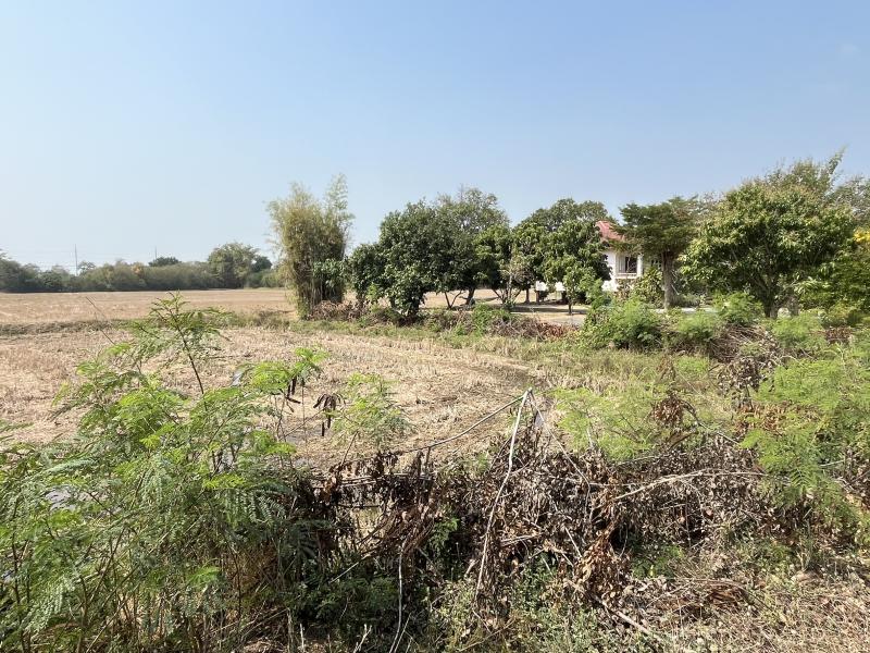 รูปที่3 ต้องการขายที่ดินเปล่า ย่านยาว สามชุก ราคา 12,000,000 บาท