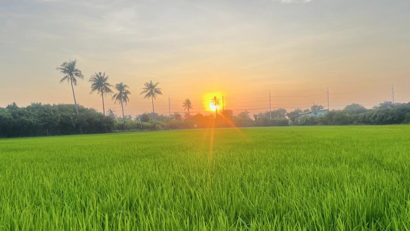 รูปที่8 ต้องการขายที่ดินเปล่า ย่านยาว สามชุก ราคา 12,000,000 บาท