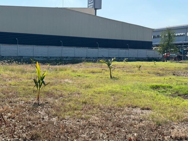 รูปที่2 ต้องการขายที่ดินเปล่า บางเสาธง บางเสาธง ราคา 60,000 บาท