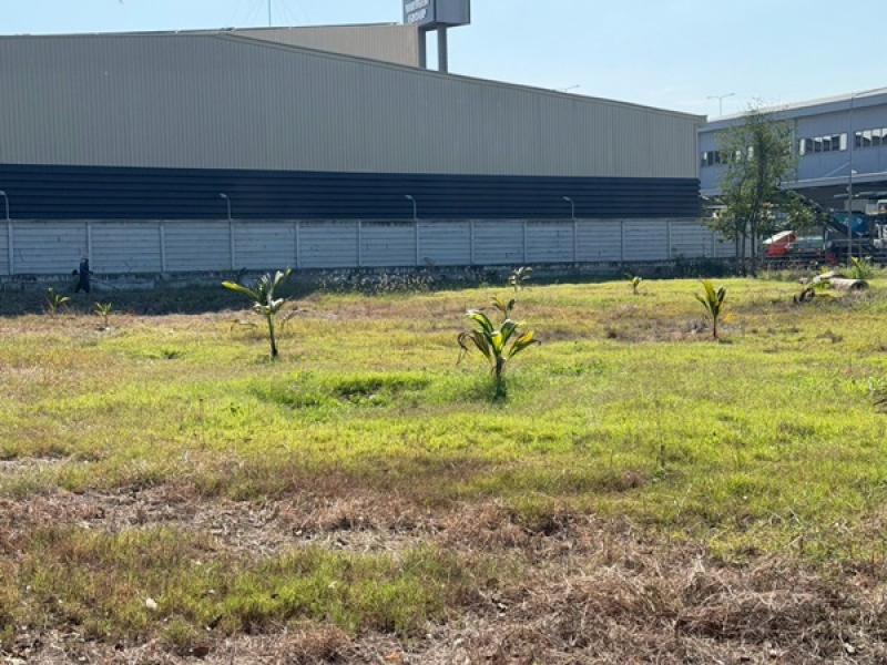 รูปที่3 ต้องการขายที่ดินเปล่า บางเสาธง บางเสาธง ราคา 60,000 บาท