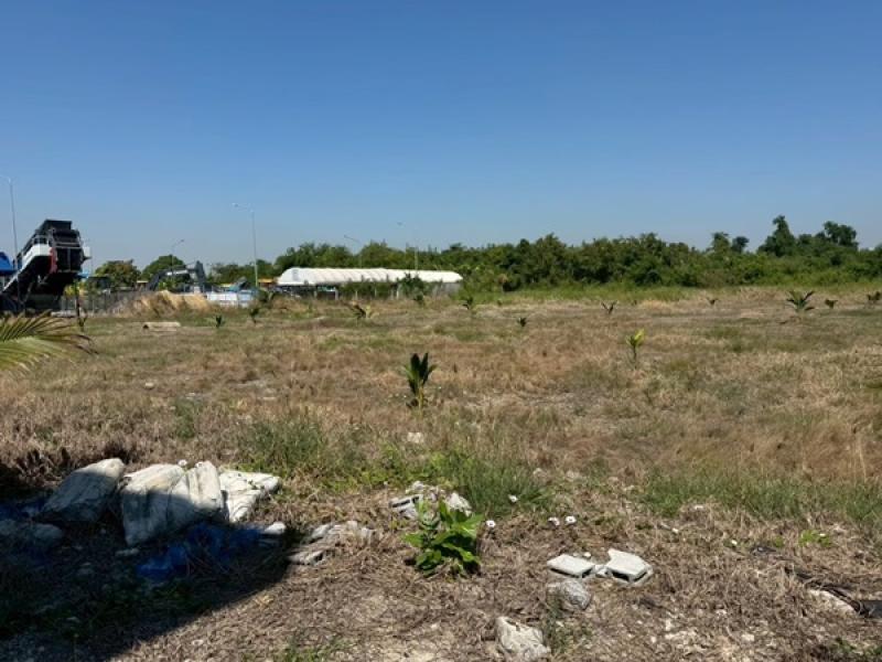 รูปที่5 ต้องการขายที่ดินเปล่า บางเสาธง บางเสาธง ราคา 60,000 บาท