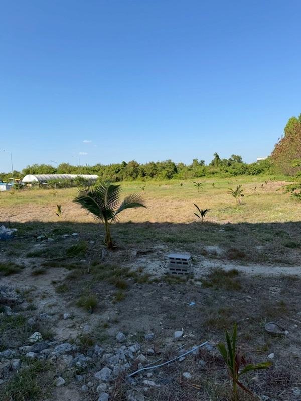 รูปที่8 ต้องการขายที่ดินเปล่า บางเสาธง บางเสาธง ราคา 60,000 บาท