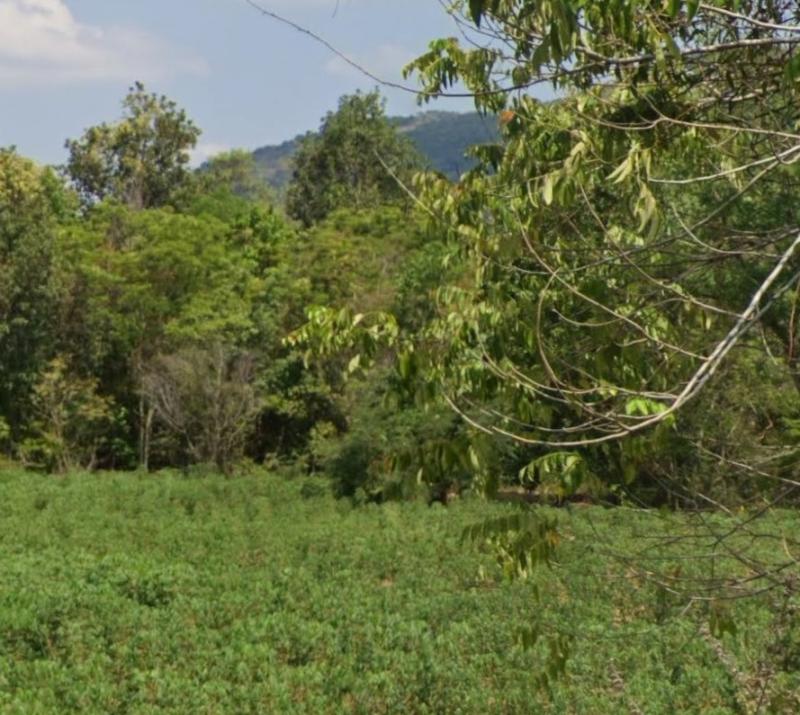 รูปที่3 ต้องการขายที่ดินเปล่า นนทรี กบินทร์บุรี ราคา 600,000 บาท