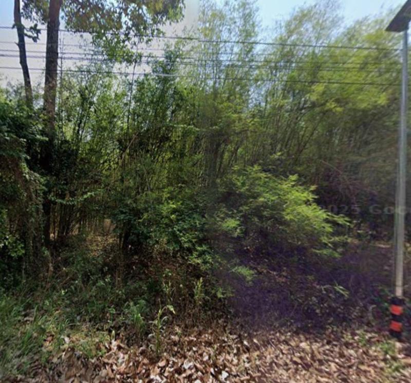 รูปที่2 ต้องการขายที่ดินเปล่า นนทรี กบินทร์บุรี ราคา 1,200,000 บาท