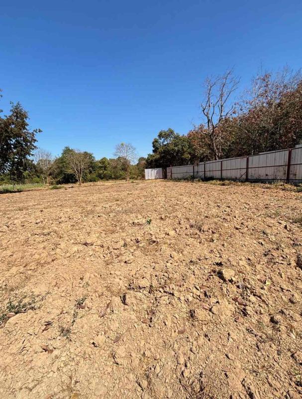 รูปที่3 ต้องการขายบ้านพร้อมที่ดิน นาวังหิน พนัสนิคม ราคา 41,775,000 บาท