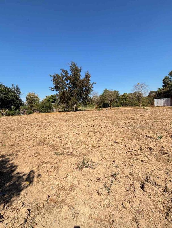 รูปที่4 ต้องการขายบ้านพร้อมที่ดิน นาวังหิน พนัสนิคม ราคา 41,775,000 บาท