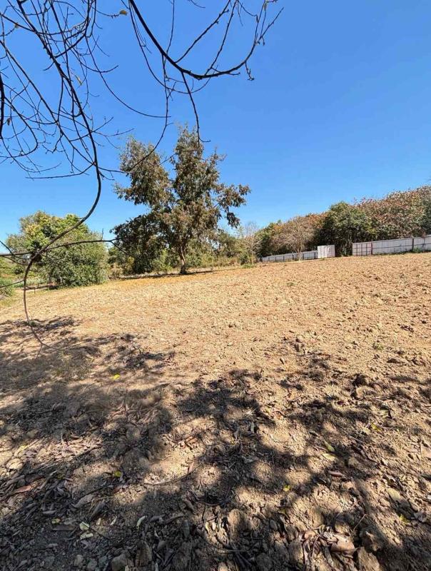 รูปที่5 ต้องการขายบ้านพร้อมที่ดิน นาวังหิน พนัสนิคม ราคา 41,775,000 บาท