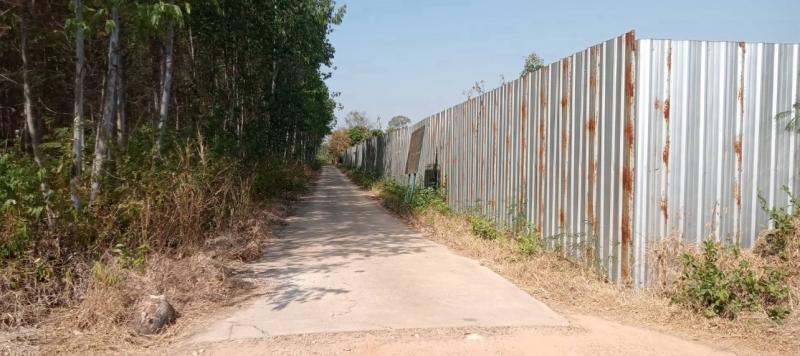 รูปที่6 ต้องการขายบ้านพร้อมที่ดิน นาวังหิน พนัสนิคม ราคา 41,775,000 บาท