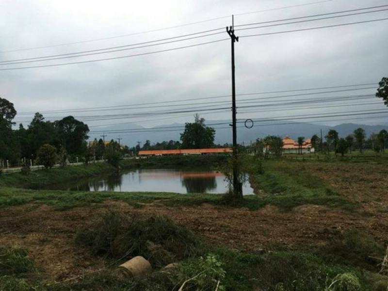 รูปที่5 ต้องการขายที่ดินเปล่า ไคสี เมืองบึงกาฬ ราคา 1,500,000 บาท