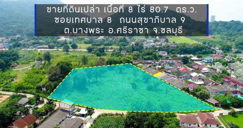 รูปที่2 ต้องการขายที่ดินเปล่า บางพระ ศรีราชา ราคา 6,500,000 บาท