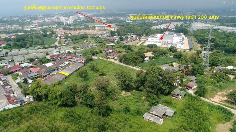 รูปที่7 ต้องการขายที่ดินเปล่า บางพระ ศรีราชา ราคา 6,500,000 บาท
