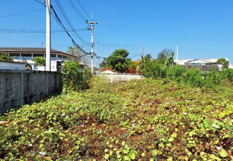 รูปที่5 ต้องการขายที่ดินเปล่า คลองสี่ คลองหลวง ราคา 4,200,000 บาท