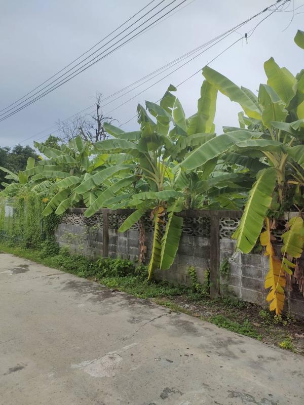 รูปที่4 ต้องการขายที่ดินเปล่า สามเสนนอก เขตห้วยขวาง ราคา 150,000 บาท