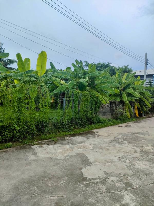 รูปที่5 ต้องการขายที่ดินเปล่า สามเสนนอก เขตห้วยขวาง ราคา 150,000 บาท