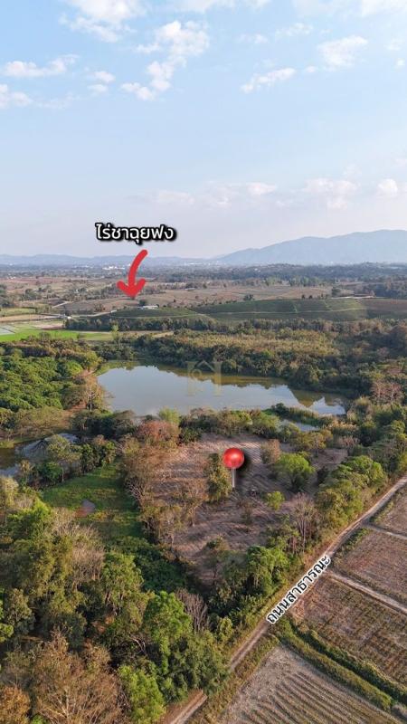 ขายที่ดิน 12 ไร่กว่า ทำเลศักยภาพ ใกล้แหล่งท่องเที่ยว จ.เชียงราย อ.แม่จัน ต.ศรีค้ำ เดินทางสะดวก โทร 081-0321111