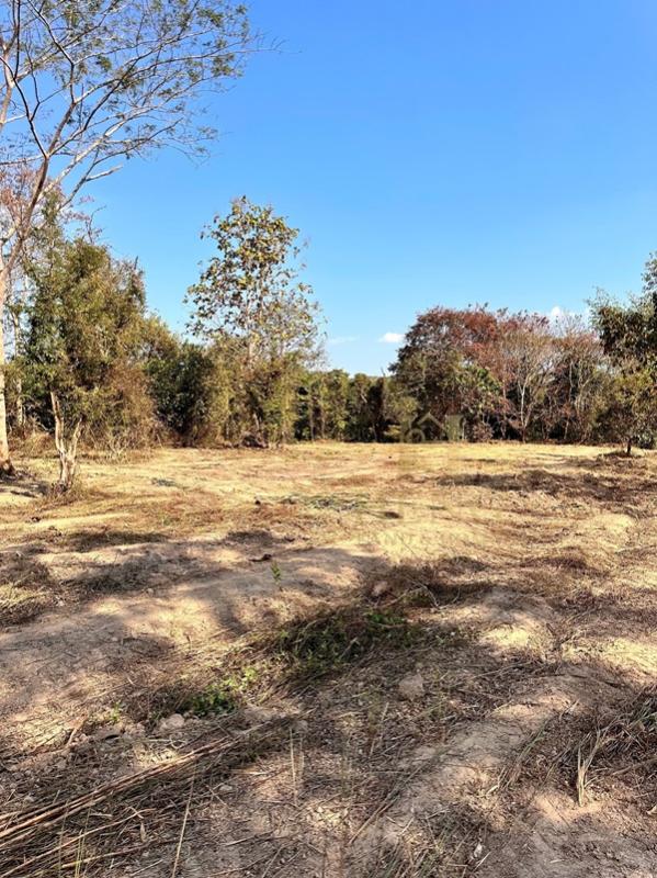 รูปที่6 ต้องการขายที่ดินเปล่า ศรีค้ำ แม่จัน ราคา 800,000 บาท