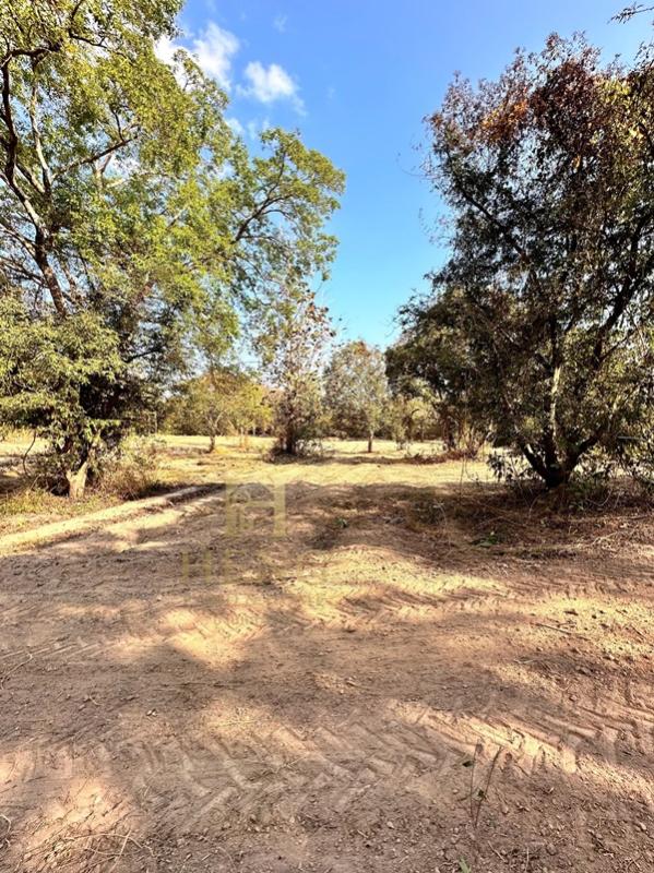 รูปที่7 ต้องการขายที่ดินเปล่า ศรีค้ำ แม่จัน ราคา 800,000 บาท