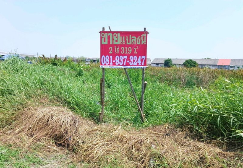 รูปที่3 ต้องการขายที่ดินเปล่า บางปู เมืองสมุทรปราการ ราคา 27,975,000 บาท