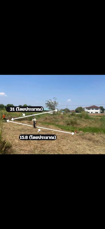 รูปที่2 ต้องการขายที่ดินเปล่า คลองสอง คลองหลวง ราคา 990,000 บาท