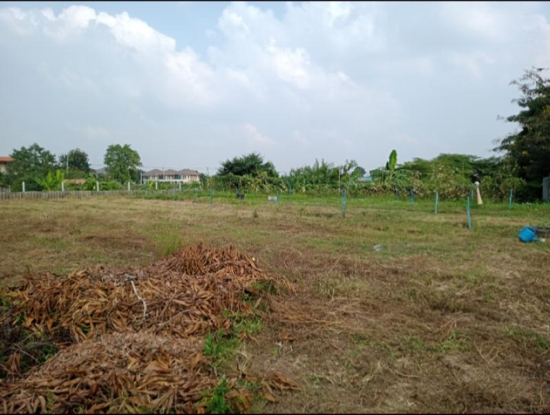 รูปภาพสินทรัพย์