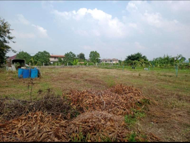 รูปที่2 ต้องการขายที่ดินเปล่า หนองอ้อ บ้านโป่ง ราคา 4,000,000 บาท