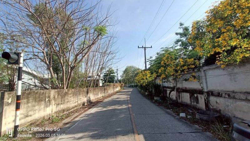 รูปที่6 ต้องการขายที่ดินเปล่า บางกะดี เมืองปทุมธานี ราคา 4,500,000 บาท