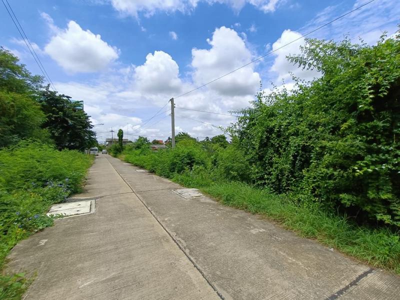รูปที่4 ต้องการขายที่ดินเปล่า รั้วใหญ่ เมืองสุพรรณบุรี  