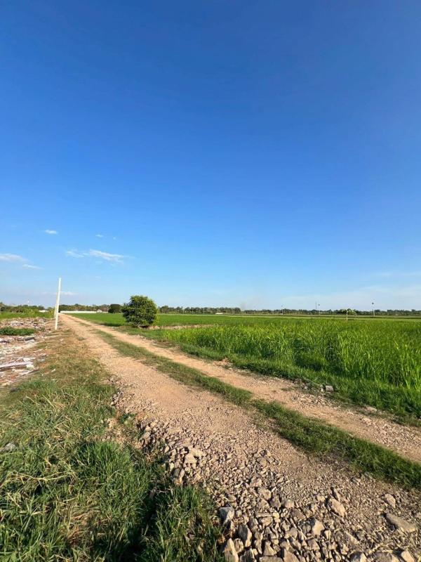 รูปที่2 ต้องการขายที่ดินเปล่า ลำลูกกา ลำลูกกา ราคา 1,900,000 บาท