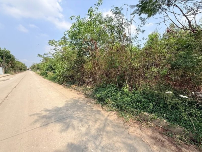 รูปที่4 ต้องการขายที่ดินเปล่า คลองหนึ่ง คลองหลวง ราคา 5,500,000 บาท