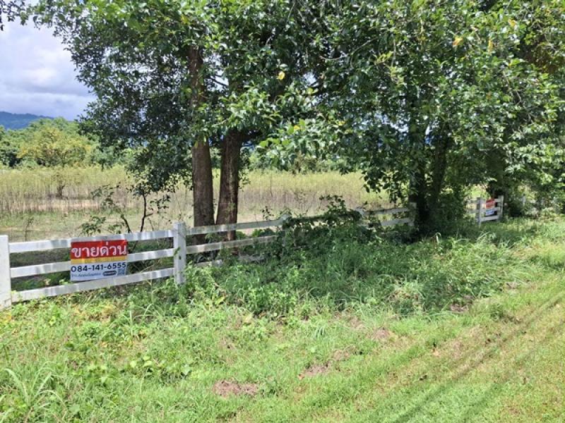 รูปที่5 ต้องการขายที่ดินเปล่า สาริกา เมืองนครนายก ราคา 4,000,000 บาท