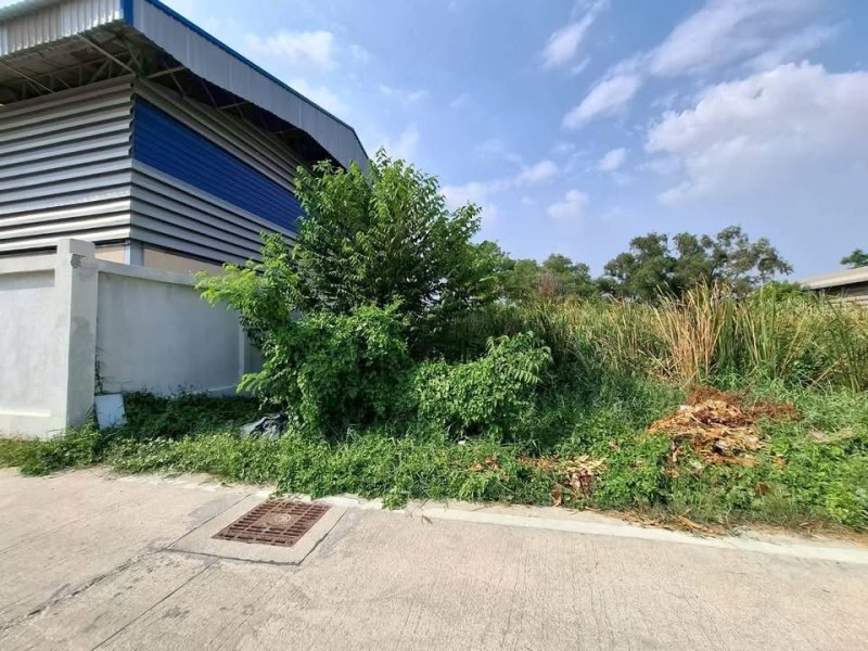 รูปที่4 ต้องการขายที่ดินเปล่า คลองสอง คลองหลวง ราคา 8,500,000 บาท