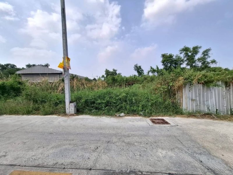 รูปที่6 ต้องการขายที่ดินเปล่า คลองสอง คลองหลวง ราคา 8,500,000 บาท
